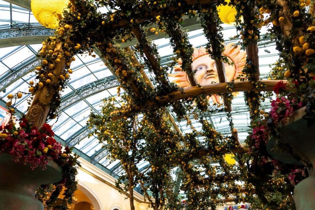 Read more about the article Sun Lovers’ Pergolas: Creating the Perfect Sunspot