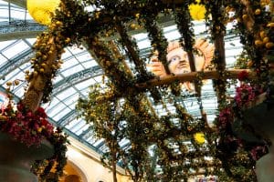 Read more about the article 5 Benefits of Having a Pergola